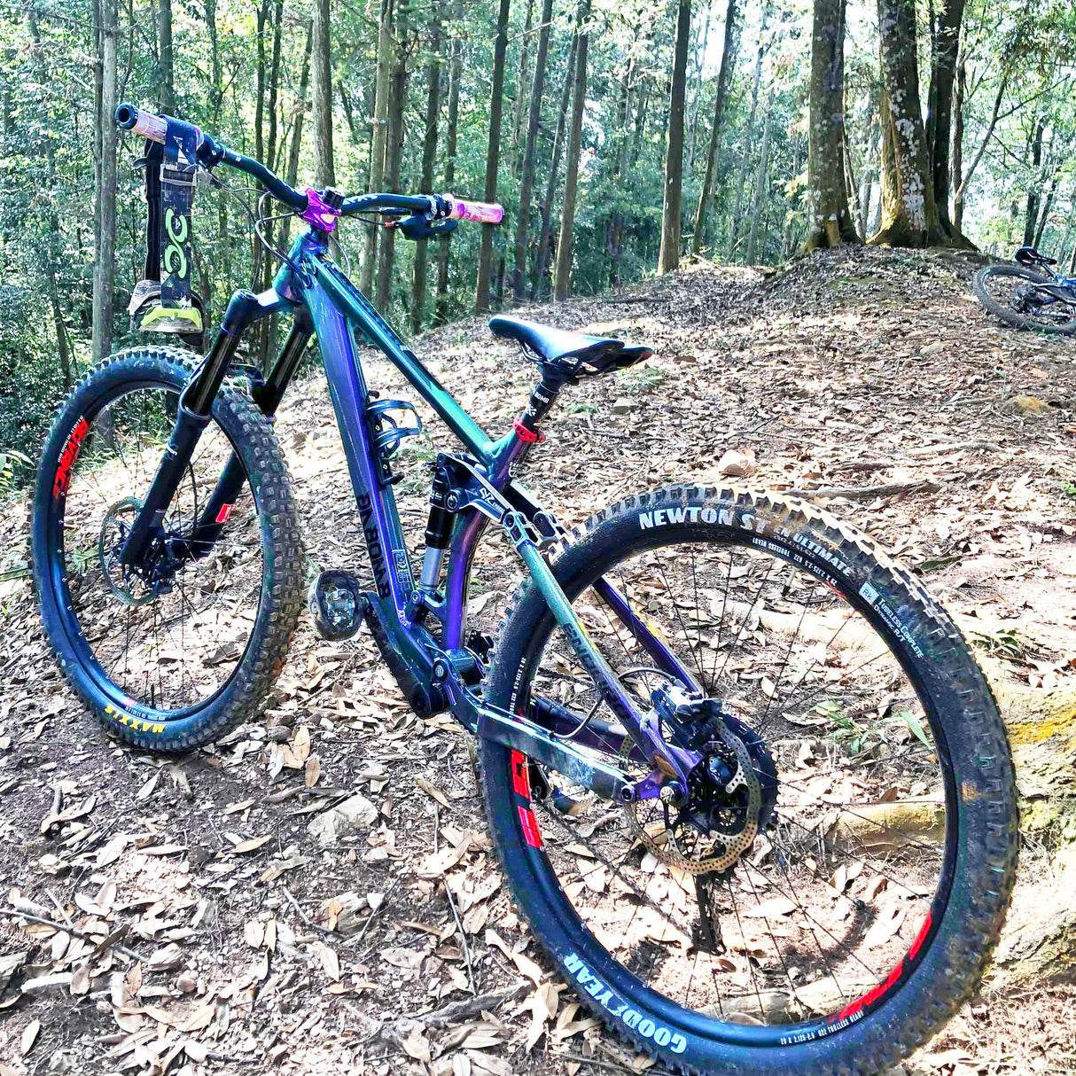 CHERRY BOMB 29er Boost (Enduro)