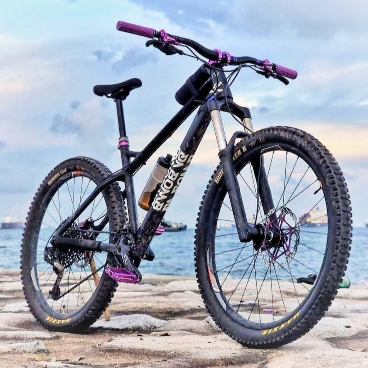 DA BOMB - SENTINEL 29er Boost (Enduro - Hardtail)
