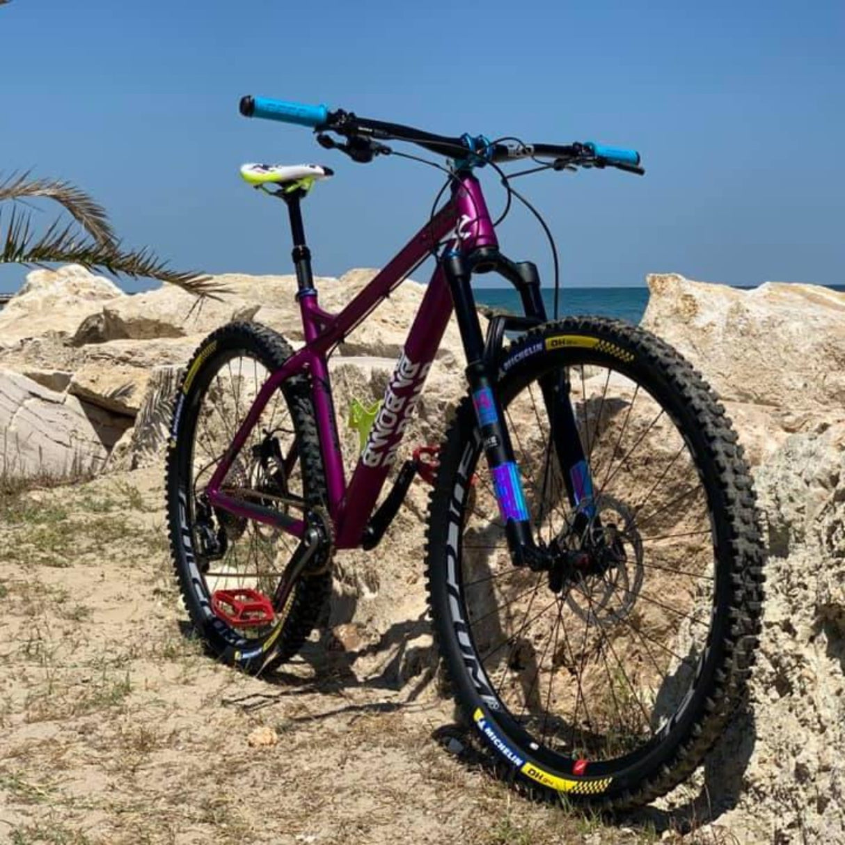 DA BOMB - SENTINEL 29er Boost (Enduro - Hardtail)